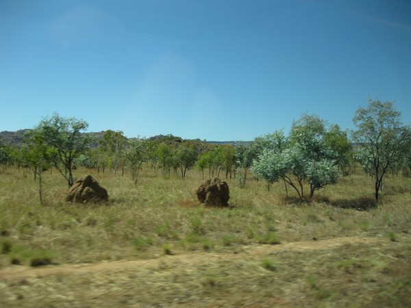 n_img_0872__round_termite_mounds___each_area_and_type_of_termites_has_its_own_acrhitecture.jpg