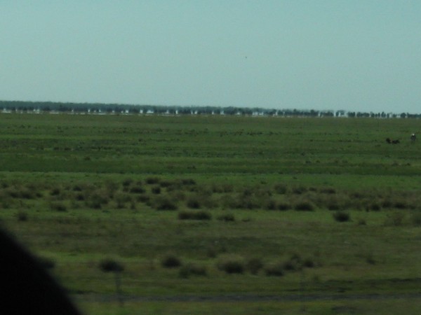 n_img_1337__the_roebuck_plains__the_first_grasslands_we_have_seen.jpg