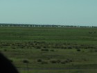 IMG_1337  The Roebuck Plains, the first grasslands we have seen.JPG