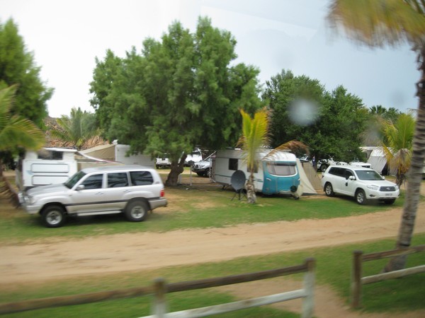 n_img_1758__grey_nomads_going_south_for_the_summer_there.jpg