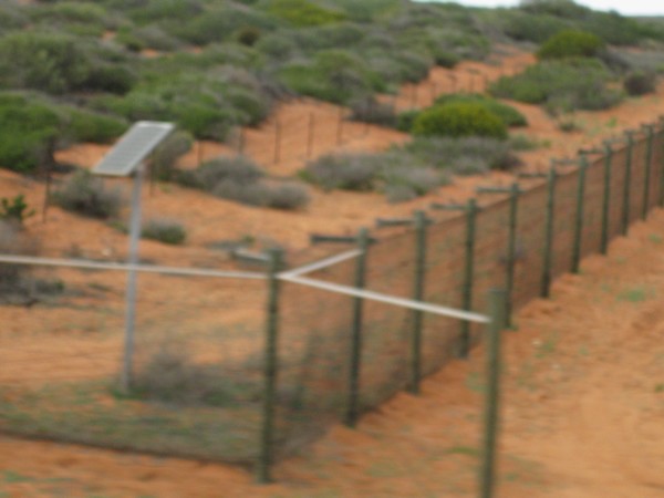 n_img_2012__feral_fence_across_the_peron_peninsula_to_exclude_feral_animals_and_protect_native_ones.jpg