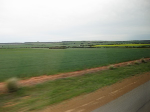 n_img_3093__the_first_canola_we_have_seen___canola_is_canada_s_gift_of_colour_to_farm_areas.jpg