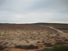 IMG_1899  Near Denham, red sand dunes and green and blue puffy shrubs, down to salt pan flats covered with salt bush..JPG