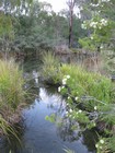 IMG_3464  Creek through our resort in Margaret River.JPG