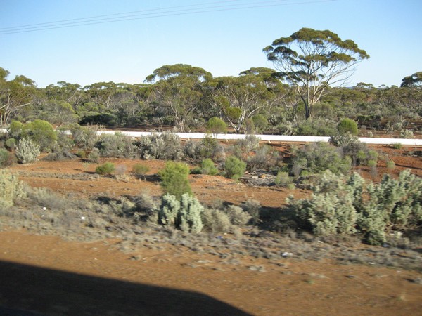 n_img_4171__the_golden_pipline_that_has_brought_water_from_near_perth_for_150_years.jpg