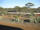 IMG_4171  The Golden Pipline that has brought water from near Perth for 150 years.JPG