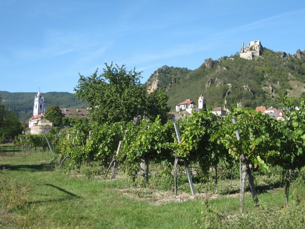 n_img_2630_durnstein_castle_where_richard_the_lion_heart_was_imprisoned.jpg