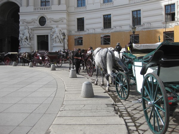 n_img_2653_heldenplatz_in_front_of_the_neue_burg.jpg