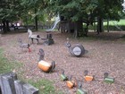 IMG_2715 Creative playground at the Lippizaner stud farm. Piber.JPG