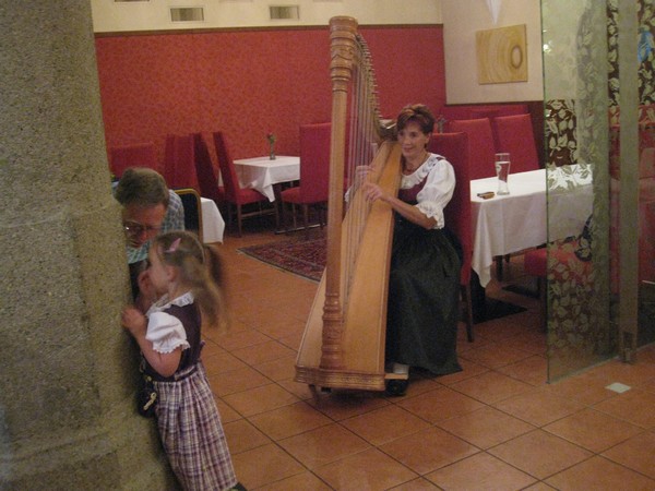 n_img_2938_the_harpist_at_our_tyrolean_dinner_also_played_at_our_evening_show.jpg