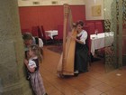 IMG_2938 The harpist at our Tyrolean dinner also played at our evening show.JPG