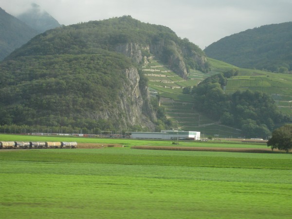 n_img_3626_more_flat_valley_bottom_and_south_facing_mountainside_vineyards.jpg