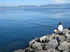 IMG_3740 The local style of very long fishing pole.JPG