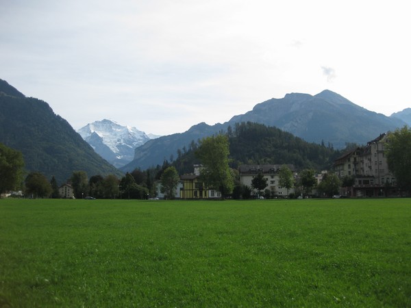 n_img_3968_the_residential_side_of_the_meadow_and_the_jungfrau.jpg