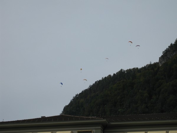 n_img_3970_a_flock_of_paragliders_heading_for_the_meadow.jpg