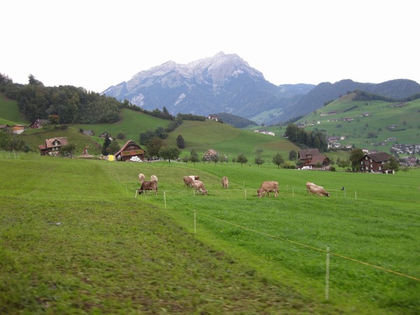 n_img_4093_mount_stanserhorn_and_swiss_farms.jpg