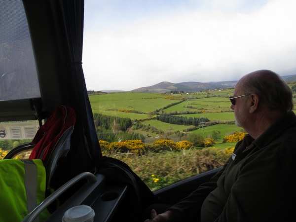 n_img_2712__typical_countryside__green_fields__golden_gorse__hedgrows__and_low_hills_.jpg