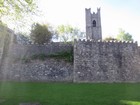 IMG_2683  Old Dublin city wall, near Audoen's gate, from the 13th century..JPG
