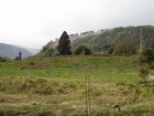 IMG_2720  Glendalough Monastic Site in County Wicklow. Founded by St. Kevin in the 6th century..JPG