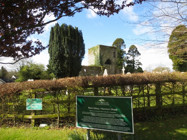 n_img_2792__history_of_tully___old_stone_ruins_are_everywhere_in_ireland.jpg