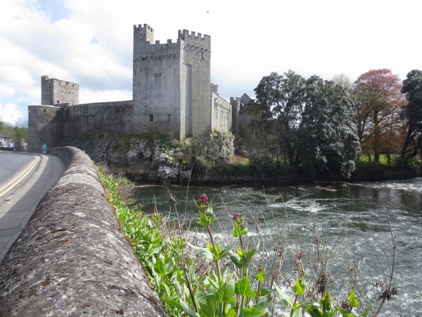 n_img_2877___carrageen_castle_on_the_river_suir_in_cahir.jpg