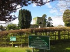 IMG_2792  History of Tully.  Old stone ruins are everywhere in Ireland.JPG