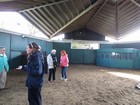 IMG_2804  The covering barn has lots of light, fresh air, and padding for the safety of the excited horses, plus observation booths for owners and  staff.JPG