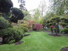 IMG_2815  Col. Hall-Walker added a large Japanese garden to the grounds.JPG