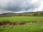 IMG_2871  Much of Ireland is covered with green velour fields dotted with sheep..JPG