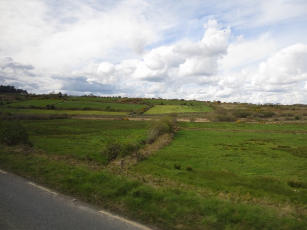 n_img_3068__north_from_blarney___hedgerows_are_legally_protected_wildlife_habitat.jpg