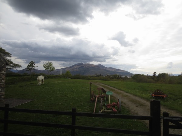 n_img_3076__muckross_traditional_farm___it_depicts_the_1930_s.jpg