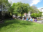 IMG_2967  We had our lunch in Bishop Lucey Park across from the English Market.JPG