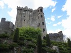 IMG_2986  Blarney Castle was built in 1446 as the seat of the MacCarthys of Muskerry.JPG