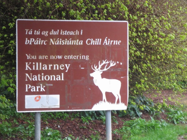 n_img_3121__we_went_to_the_park_for_our_photo___all_signs_have_gaelic.jpg