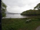 IMG_3210  Lakes in the park, Lough Leane, Muckross, and Upper Lake have brown trout and salmon.JPG