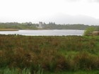 IMG_3213  Ross Castle, Lough Leane, in Killarney National Park.JPG