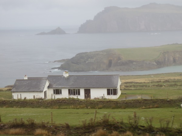 n_img_3291__the_modern_community_has_children_for_the_gaelic_school.jpg