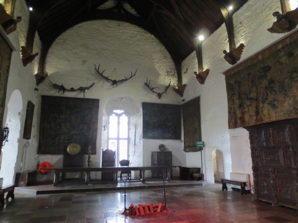 n_img_3395___irish_elk_were_extinct_before_the_castle_was_built__these_antlers_would_have_been_preserved_in_bogs.jpg