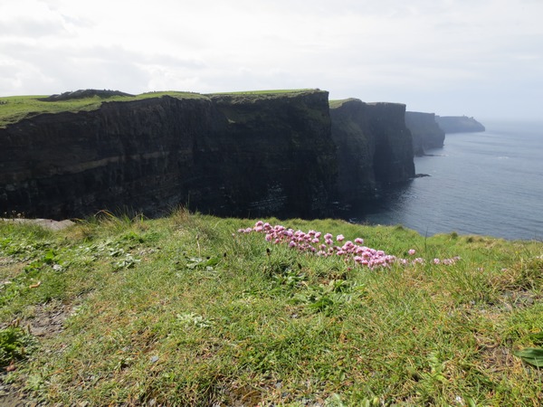 n_img_3478__the_600_foot_high_cliffs_of_moher.jpg