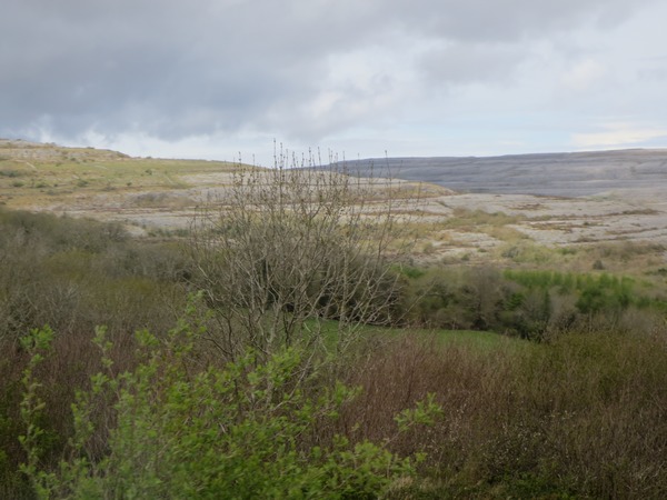 n_img_3526__the_burren___a_region_of_limestone_pavement_hills.jpg