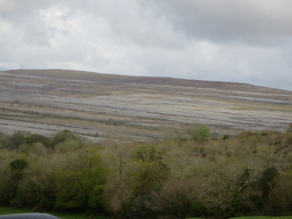 n_img_3529__the_burren___the_limestone_formed_as_sediments_in_a_tropical_sea_approximately_350_million_years_ago.jpg
