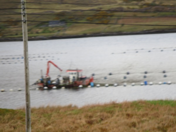 n_img_3632__killary_fjord_fish_farming_of_salmon_and_mussels.jpg
