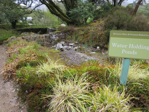 n_img_3676__ponds_at_the_top_of_the_gardens_stored_water.jpg
