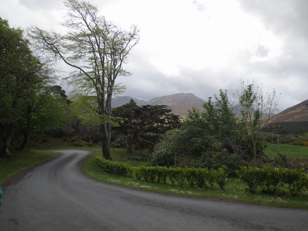 n_img_3680__the_drive_from_the_gardens_toward_the_castle.jpg