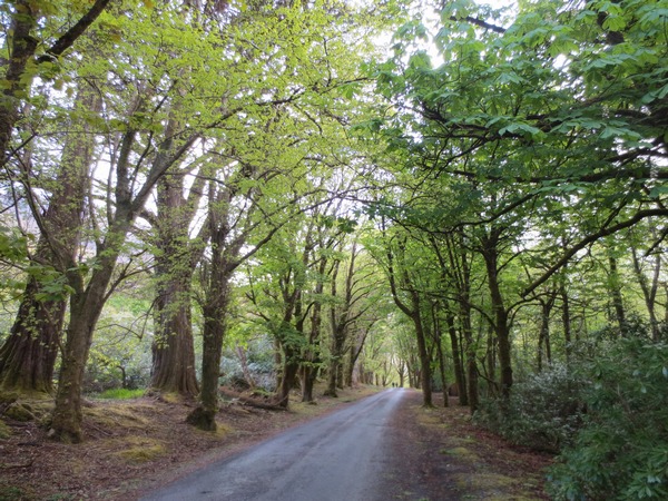 n_img_3681__it_was_a_beautiful_20_minute_walk_.jpg