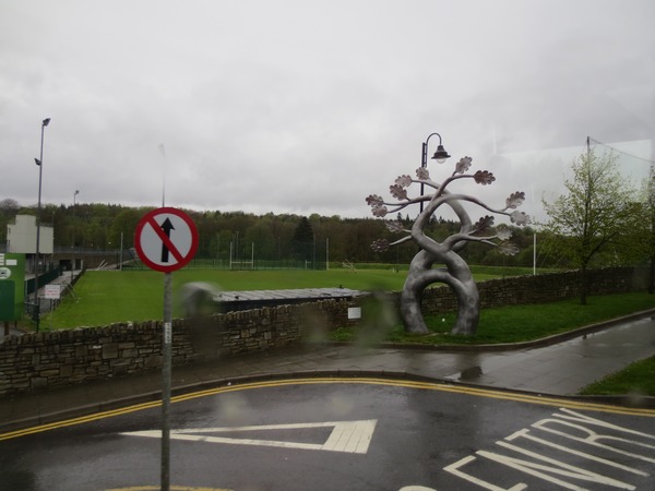 n_img_3791__the_matrimony_tree_in_ballyboffy__co__donegal_.jpg