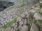 IMG_3952  Natural steps up the side of the Causeway.JPG
