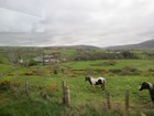 IMG_4013  The Glens of Antrim near Ballycastle, a popular holiday place.JPG