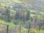 IMG_4018  One of the nine Glens of Antrim.JPG