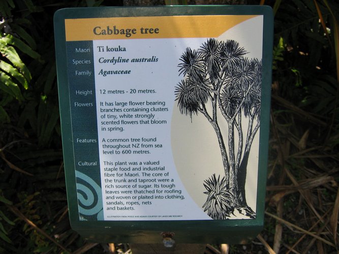 2007_03_27__2060_cabbage_tree_sign_pancake_rocks_park___punakaiki_.jpg